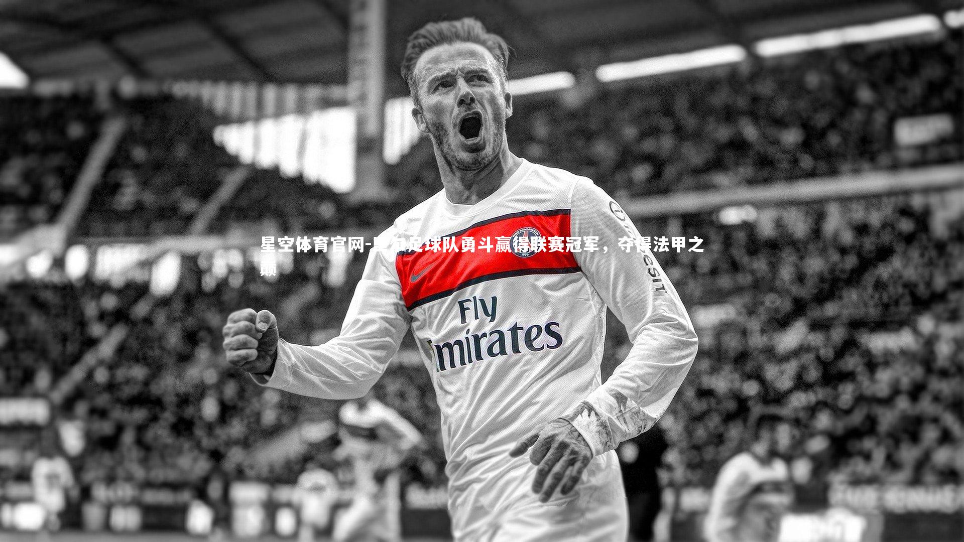 里尔足球队勇斗赢得联赛冠军,夺得法甲之巅