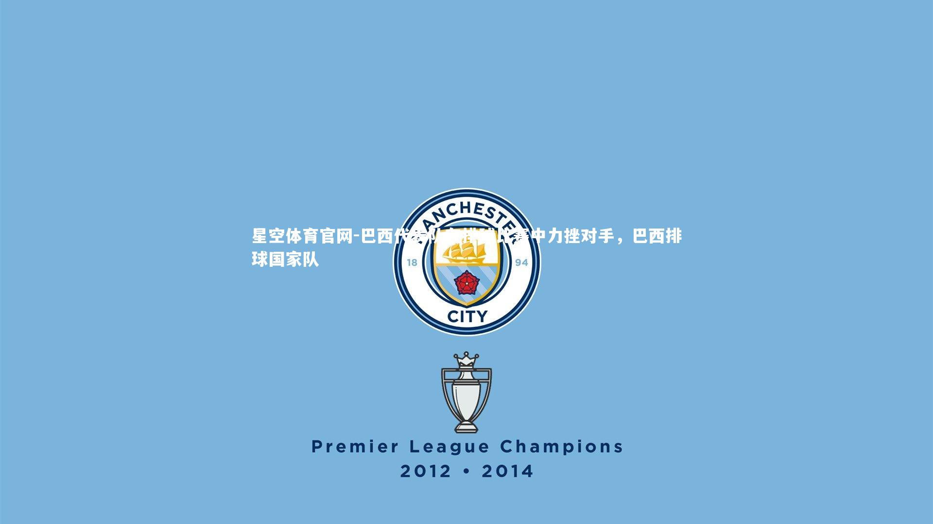 星空体育官网-巴西代表队在排球比赛中力挫对手，巴西排球国家队