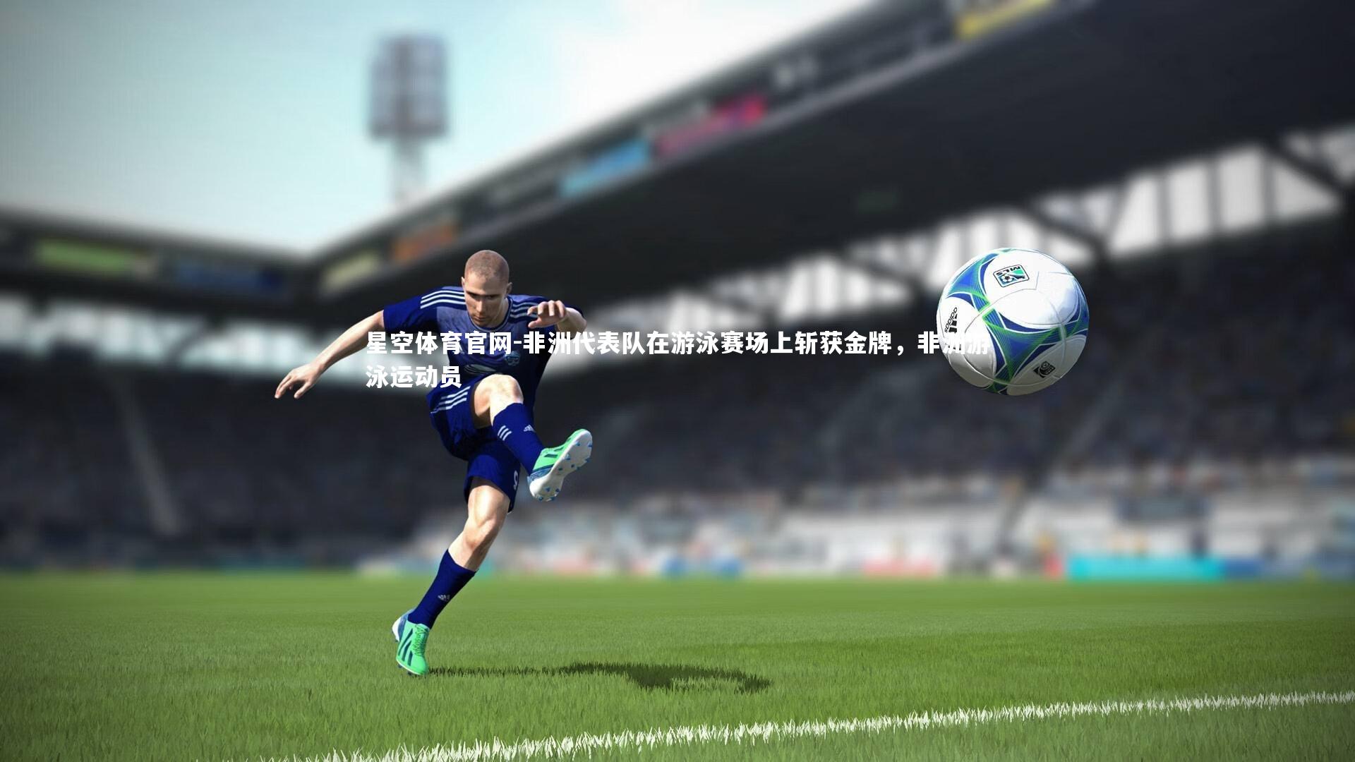 非洲代表队在游泳赛场上斩获金牌,非洲游泳运动员