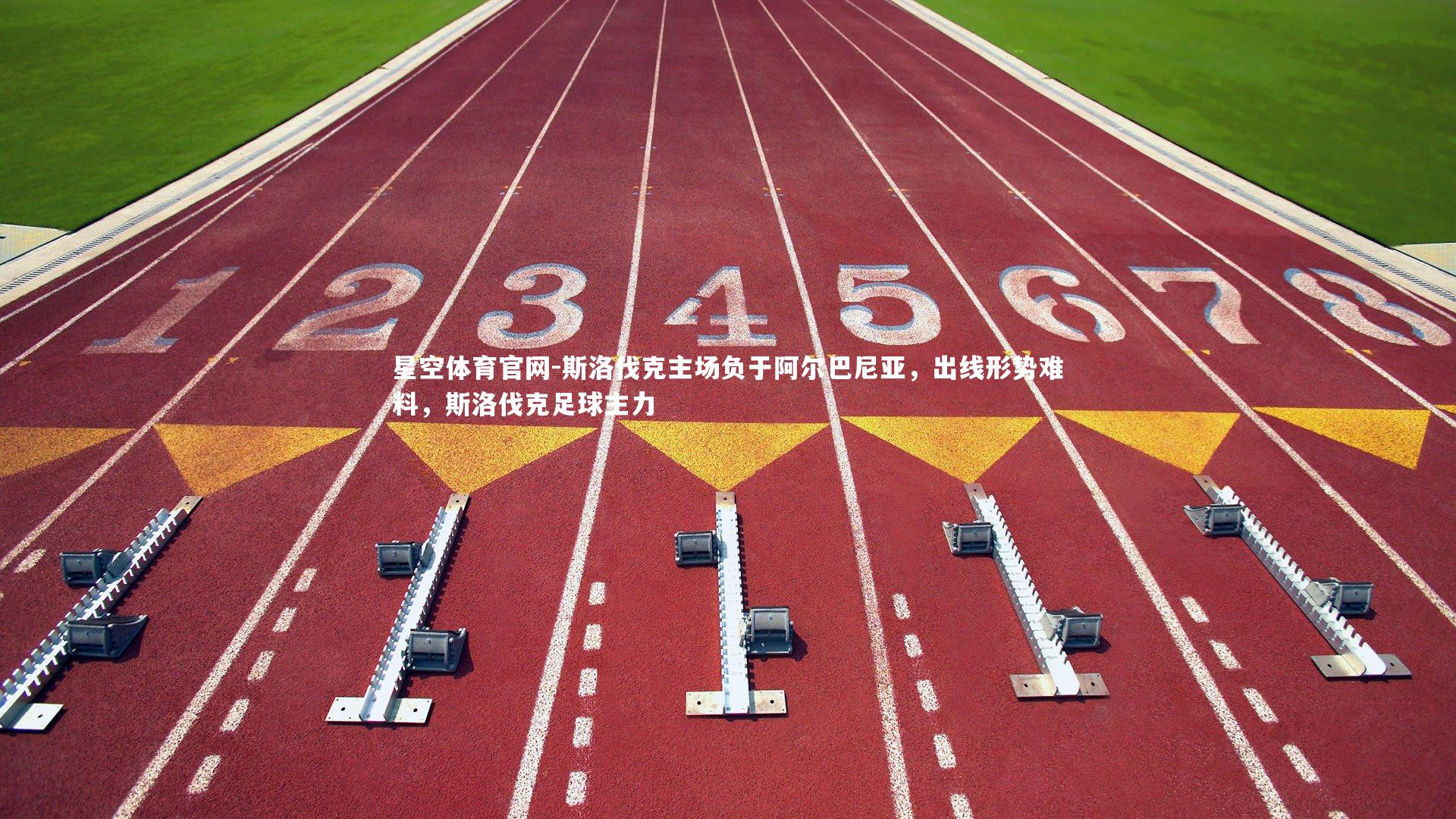 斯洛伐克主场负于阿尔巴尼亚,出线形势难料,斯洛伐克足球主力