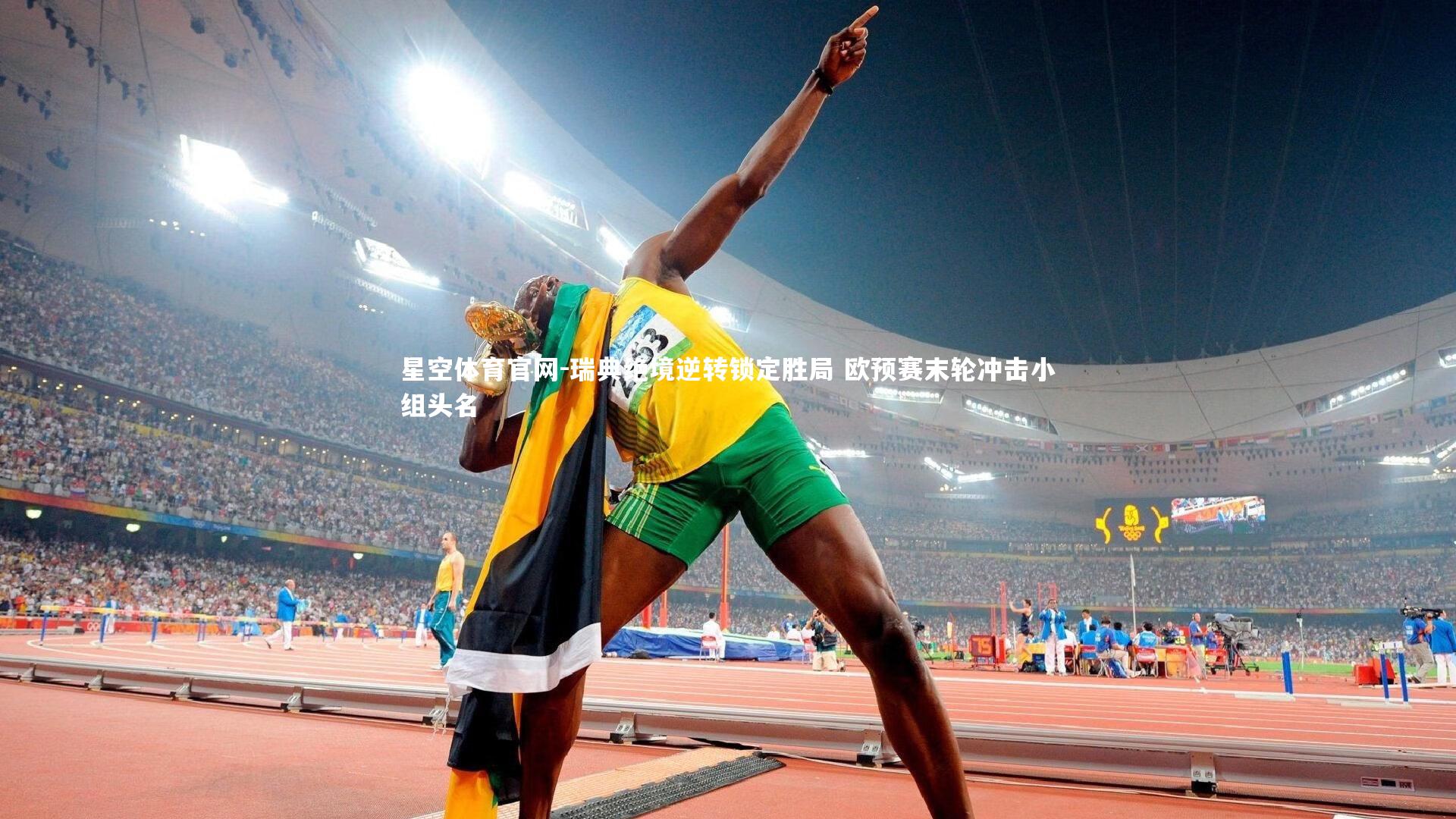 瑞典绝境逆转锁定胜局 欧预赛末轮冲击小组头名