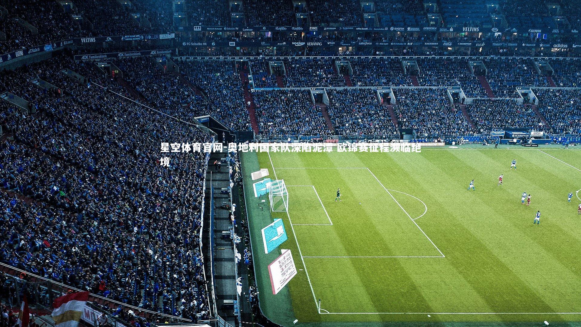 星空体育官网-奥地利国家队深陷泥潭 欧锦赛征程濒临绝境